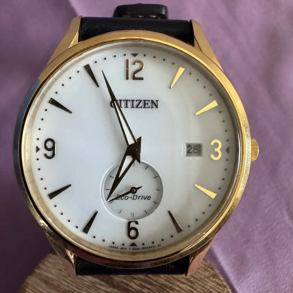 Citizen Gold-Tone Case White Dial Men's Watch with Black Leather Strap
